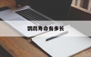鹦鹉寿命有多长