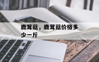 鹿茸菇，鹿茸菇价格多少一斤