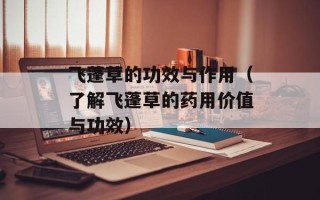 飞蓬草的功效与作用（了解飞蓬草的药用价值与功效）