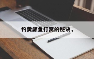 钓黄颡鱼打窝的秘诀，
