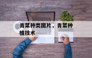 青菜种类图片，青菜种植技术