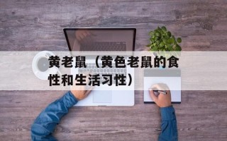 黄老鼠（黄色老鼠的食性和生活习性）