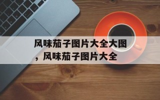 风味茄子图片大全大图，风味茄子图片大全