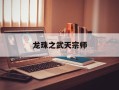 龙珠之武天宗师
