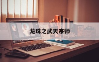 龙珠之武天宗师