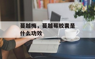 蔓越梅，蔓越莓胶囊是什么功效