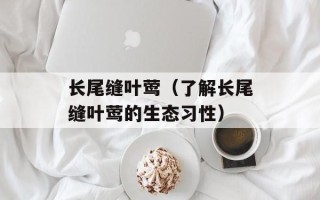 长尾缝叶莺（了解长尾缝叶莺的生态习性）