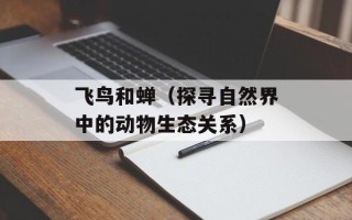 飞鸟和蝉（探寻自然界中的动物生态关系）