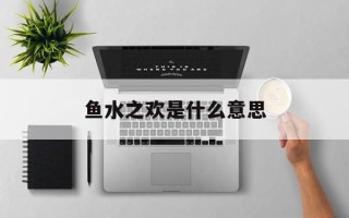 鱼水之欢是什么意思