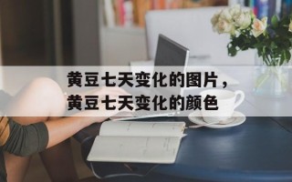 黄豆七天变化的图片，黄豆七天变化的颜色
