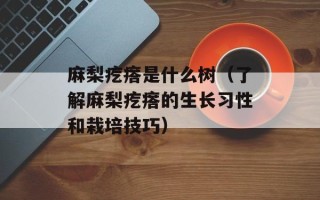 麻梨疙瘩是什么树（了解麻梨疙瘩的生长习性和栽培技巧）
