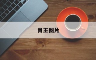 骨王图片