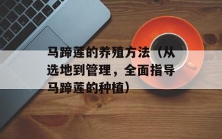 马蹄莲的养殖方法（从选地到管理，全面指导马蹄莲的种植）