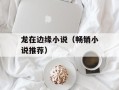 龙在边缘小说（畅销小说推荐）