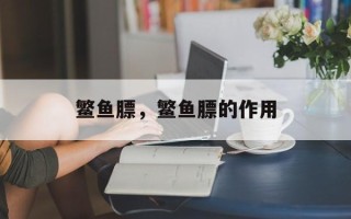 鳘鱼膘，鳘鱼膘的作用