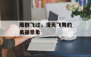 雁群飞过，漫天飞舞的美丽景象