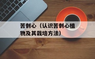 苦刺心（认识苦刺心植物及其栽培方法）