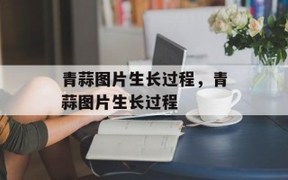 青蒜图片生长过程，青蒜图片生长过程