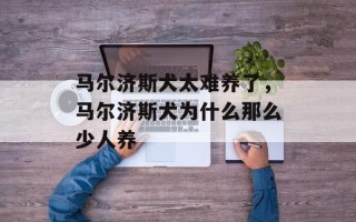 马尔济斯犬太难养了，马尔济斯犬为什么那么少人养