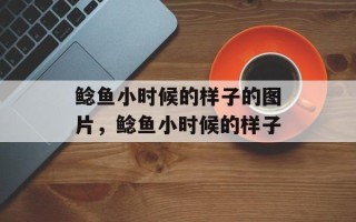 鲶鱼小时候的样子的图片，鲶鱼小时候的样子