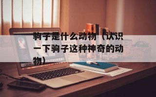 驹子是什么动物（认识一下驹子这种神奇的动物）