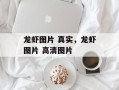 龙虾图片 真实，龙虾图片 高清图片