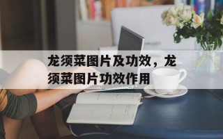 龙须菜图片及功效，龙须菜图片功效作用