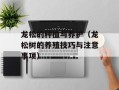 龙松的种植与养护（龙松树的养殖技巧与注意事项）