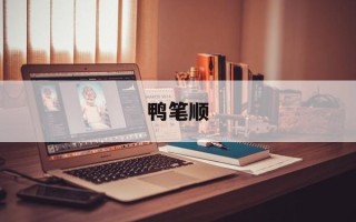 鸭笔顺