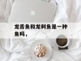 龙舌鱼和龙利鱼是一种鱼吗，