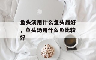 鱼头汤用什么鱼头最好，鱼头汤用什么鱼比较好