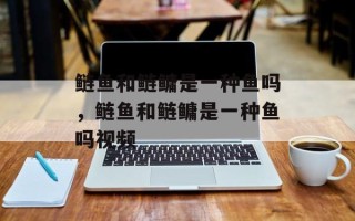 鲢鱼和鲢鳙是一种鱼吗，鲢鱼和鲢鳙是一种鱼吗视频