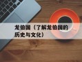 龙伯国（了解龙伯国的历史与文化）