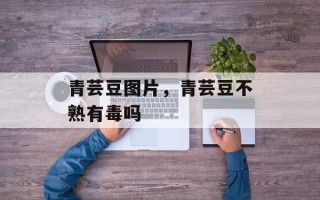 青芸豆图片，青芸豆不熟有毒吗