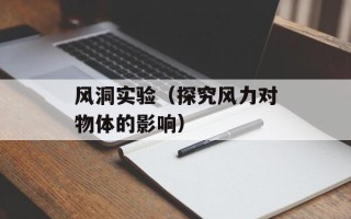 风洞实验（探究风力对物体的影响）