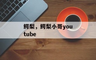 鳄梨，鳄梨小哥youtube
