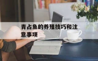 青占鱼的养殖技巧和注意事项