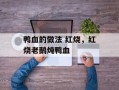 鸭血的做法 红烧，红烧老鹅炖鸭血