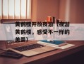 黄鹤楼开放夜游（夜游黄鹤楼，感受不一样的美景）