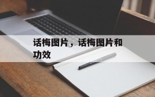 话梅图片，话梅图片和功效