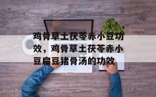 鸡骨草土茯苓赤小豆功效，鸡骨草土茯苓赤小豆扁豆猪骨汤的功效