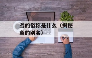 鸢的俗称是什么（揭秘鸢的别名）
