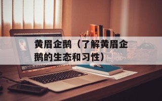 黄眉企鹅（了解黄眉企鹅的生态和习性）