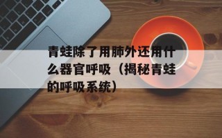 青蛙除了用肺外还用什么器官呼吸（揭秘青蛙的呼吸系统）