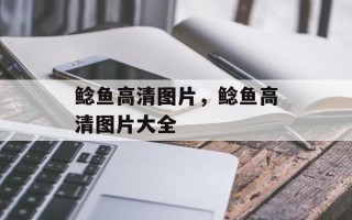鲶鱼高清图片，鲶鱼高清图片大全