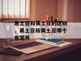 黑土豆和黄土豆的区别，黑土豆和黄土豆哪个有营养