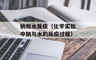 钠和水反应（化学实验中钠与水的反应过程）