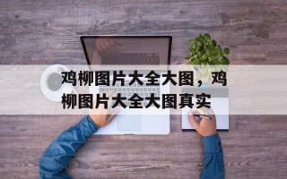 鸡柳图片大全大图，鸡柳图片大全大图真实