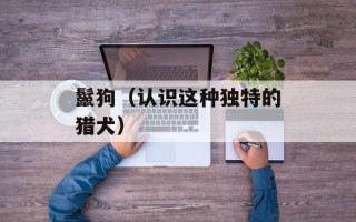 鬣狗（认识这种独特的猎犬）