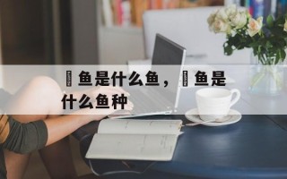 鮰鱼是什么鱼，鮰鱼是什么鱼种